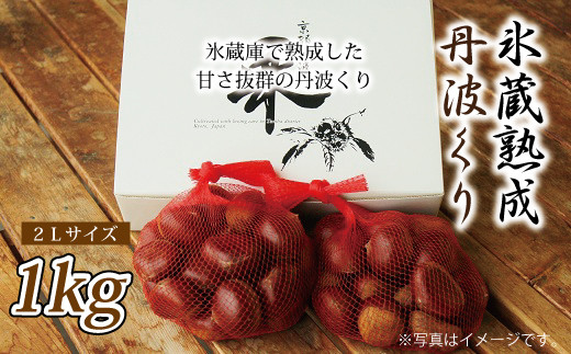 京都・京丹波町産 栗 氷蔵熟成・丹波栗 1kg [012IW002L] - 京都府京