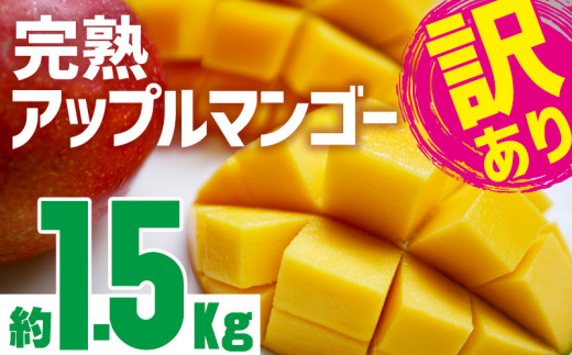 訳あり品 21年発送 沖縄市完熟アップルマンゴー約1 5kg 沖縄県沖縄市 ふるさと納税 ふるさとチョイス 訳あり品 21年発送 沖縄市完熟アップルマンゴー約1 5kg 沖縄県沖縄市 ふるさと納税 ふるさとチョイス