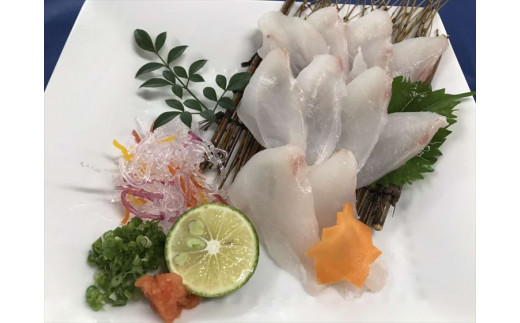 1256 天然のクエしゃぶしゃぶ 島根県浜田市 ふるさと納税 ふるさとチョイス