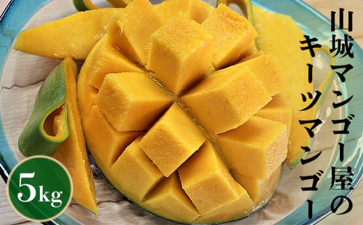 21年発送 山城マンゴー屋のキーツマンゴー 5kg 沖縄県糸満市 ふるさと納税 ふるさとチョイス