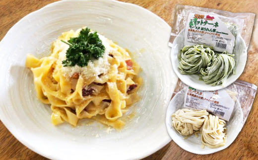 飛騨の生パスタ フィットチーネセット プレーン ほうれん草 2種類 みやぎ製麺所 飛騨産ほうれん草 岐阜県飛騨市 ふるさと納税 ふるさとチョイス