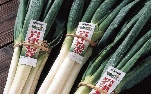 先行予約】朝来市特産【岩津ねぎ】3kg（箱入り） 先行予約 岩津ねぎ
