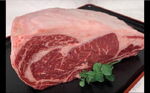 【愛知県豊橋市】豊橋牛（とよはしうし） ロース塊ブロック肉　ガッツリ食べたい　１．５ｋｇ！