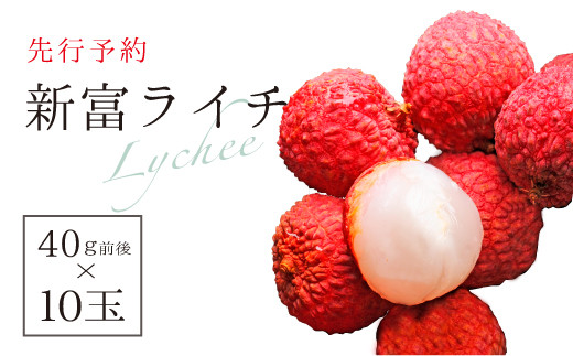 先行予約 希少 国産 新富ライチ 40g前後 10玉 B1 宮崎県新富町 ふるさと納税 ふるさとチョイス