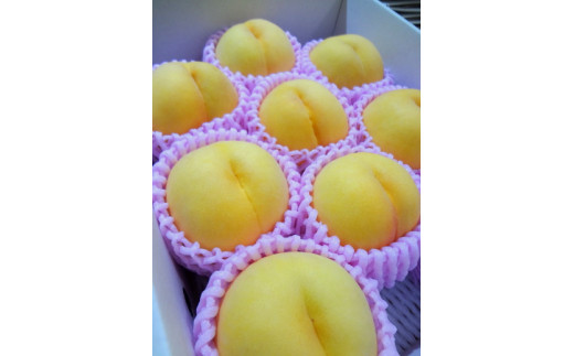 08-07-010 もも(金桃・黄貴妃)3kg - 山形県天童市｜ふるさとチョイス