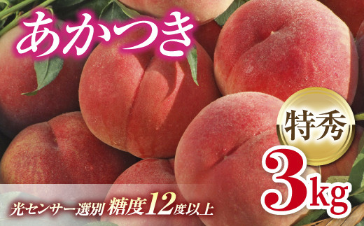 福島の桃 あかつき 特秀 約3kg（9～12玉）伊達市産桃 透過式光センサー選別 先行予約 フルーツ 果物 もも モモ momo F20C-278 -  福島県伊達市｜ふるさとチョイス - ふるさと納税サイト