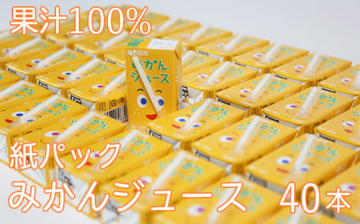 果汁100％ 紙パック みかんジュース 125ml×40本＜131-010_5＞ - 大分県杵築市｜ふるさとチョイス - ふるさと納税サイト