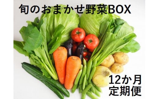 H 13 １２ヶ月お届け 旬のおまかせ野菜box定期便 佐賀県鹿島市 ふるさと納税 ふるさとチョイス