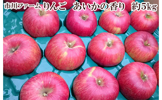 5657 2680 りんご あいかの香り 約5kg 市川ファーム １１月より順次発送 長野県須坂市 ふるさと納税 ふるさとチョイス