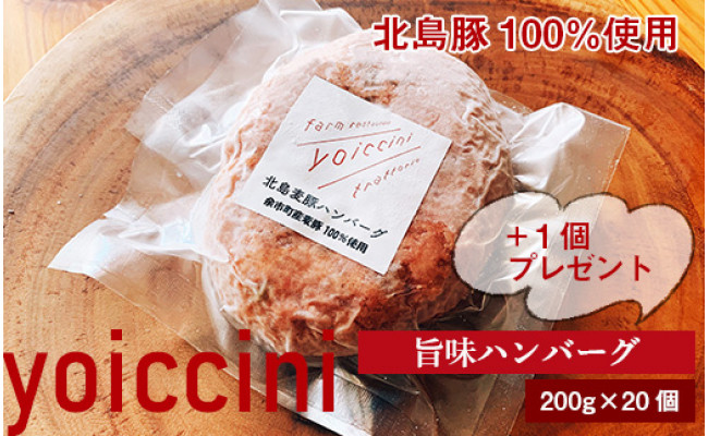 北島豚100 使用 ヨイッチーニ旨味ハンバーグ0g 個 1個 ヨイッチーニ 北海道余市町 ふるさと納税 ふるさとチョイス