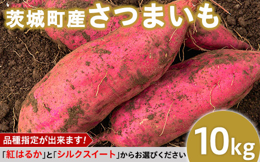 009茨城町産さつまいも10kg（紅はるか・シルクスイート）【2022年12月