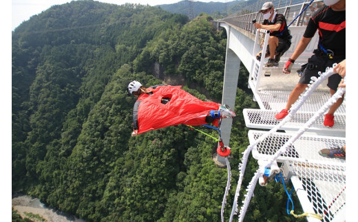 9 高さ215ｍ 日本一のバンジージャンプ 岐阜バンジー 6 000円割引券 岐阜県八百津町 ふるさとチョイス ふるさと納税サイト