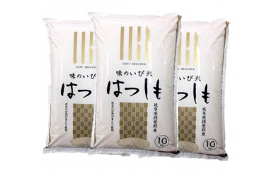 岐阜 - 米の人気商品・通販・価格比較 - 価格.com