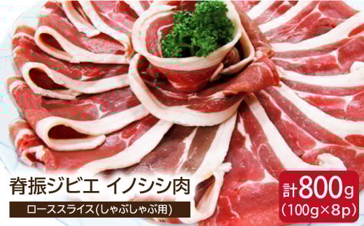 yꌧg샖zҐUWrG CmVV [XXCX800g ԂԁyuC}[gEKz [FAL012]