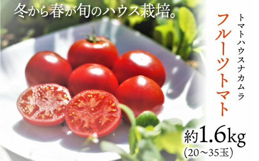トマトハウスナカムラのフルーツトマト約1 6kg 35玉 高知県佐川町 ふるさと納税 ふるさとチョイス トマトハウスナカムラのフルーツトマト約1 6kg 35玉 高知県佐川町 ふるさと納税 ふるさとチョイス