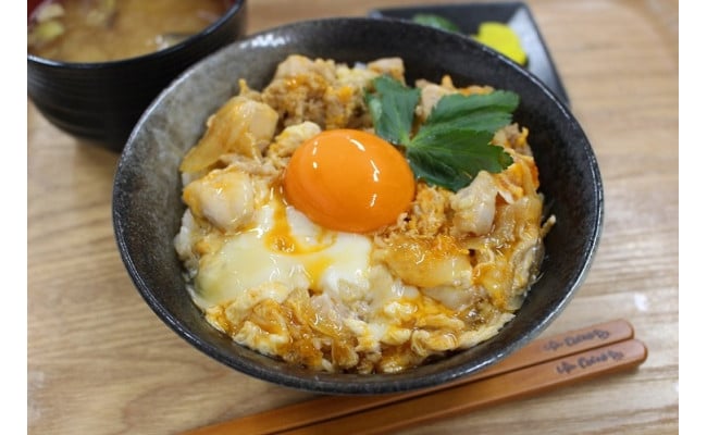 最安値挑戦 ふるさと納税 B039a大塚のボンドンブリ 親子丼 安心の定価販売 Insfatima Com Ar