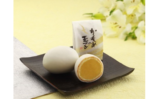 5650 0411 さいとう製菓 かもめの玉子個入 岩手県大船渡市 ふるさと納税 ふるさとチョイス