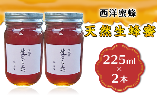 天然生蜂蜜（西洋蜜蜂）2本セット【ハチミツ 蜂蜜 はちみつ 生蜂蜜 蜂 お菓子 瓶タイプ 砂糖 甘い 濃厚】 - 茨城県下妻市｜ふるさとチョイス -  ふるさと納税サイト