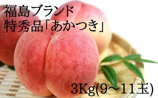 No 0858 先行予約 もも あかつき ３ｋｇ 特秀品 9 11玉 福島県福島市 ふるさと納税 ふるさとチョイス