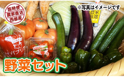 10~12品お届け】農家直送 新鮮野菜のお楽しみセット＜1-156＞ - 宮崎