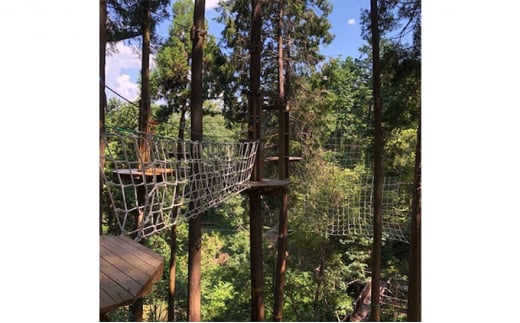 yޗǌz`̐Xin@Ahx`[R[X4l`Pbg