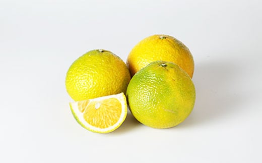 yF{sz}CX^[̃XC[gXvO ǕiE󂠂荬 4kg i͔|Ԓ͖엿E_sgpj }CX^[ sY y2025N11{`2026N1{\