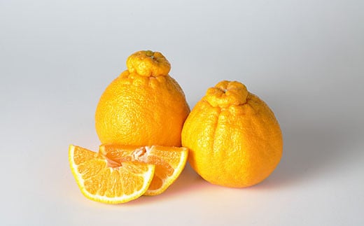 yF{sz}CX^[̕sm Ǖi 5kg i͔|Ԓ͖엿E_j ʕ  t[c sm ʂ k ݂ y2026N1{`4{\z