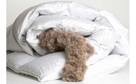 世界最高級アイダー羽毛布団stellan アイスランド政府保証ラベル付き シングルサイズ 大阪府豊能町 ふるさと納税 ふるさとチョイス