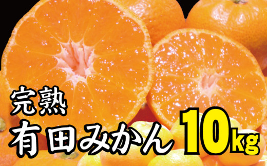 【2022年冬頃発送予約分】＼光センサー選別／ 【農家直送】完熟有田みかん 約10kg 有機質肥料100% 　サイズ混合　 ※2022年12月上旬～2023年1月下旬に順次発送予定（お届け日指定不可）