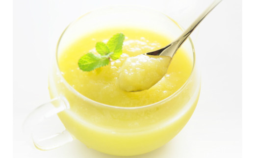 完熟マスクメロンピューレ A 348 高知県香南市 ふるさと納税 ふるさとチョイス