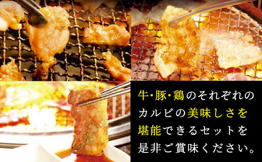 やまなか家のトリプルカルビ 食べ比べセット(計700g)