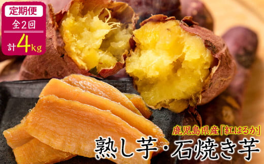 T003 006 定期便全2回 鹿児島県産紅はるかで作った熟し芋と石焼き芋のお楽しみ便 計4kg 鹿児島県志布志市 ふるさと納税 ふるさとチョイス