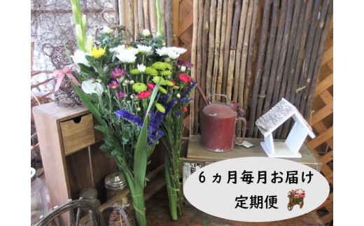 【定期便 / 6ヶ月】お供えのお花 菊使用 1束