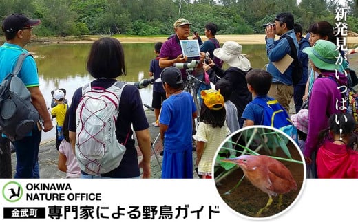 新発見がいっぱい！ 金武町 専門家による野鳥ガイド - 沖縄県金武町｜ふるさとチョイス - ふるさと納税サイト