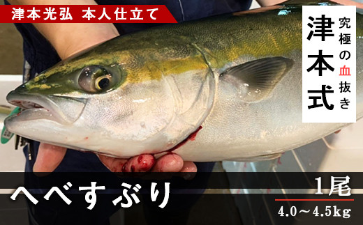 津本式 へべすぶり１尾 津本光弘本人仕立て M135 007 宮崎県宮崎市 ふるさと納税 ふるさとチョイス