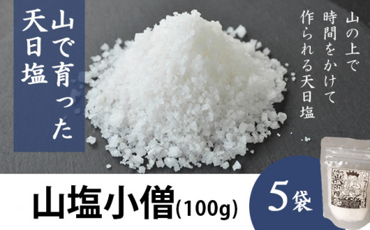 Lsm 03 山で育った天日塩 山塩小僧 100g 5袋 高知県四万十町 ふるさと納税 ふるさとチョイス