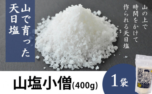 Lsm 03 山で育った天日塩 山塩小僧 100g 5袋 高知県四万十町 ふるさと納税 ふるさとチョイス