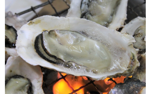 10 01 ブランド牡蠣 豊前海一粒かき しいだ小粒がき 3 福岡県築上町 ふるさと納税 ふるさとチョイス