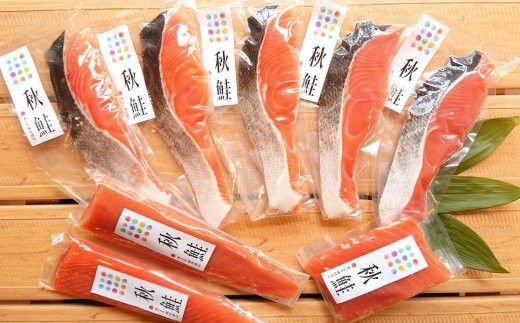 さしみ鮭と焼き鮭切り身セット 北海道羅臼町 ふるさと納税 ふるさとチョイス