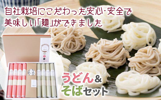 定期便 12ヶ月 強力粉 銀河のちから 1kｇ 2袋セット 岩手県北上市 ふるさと納税 ふるさとチョイス