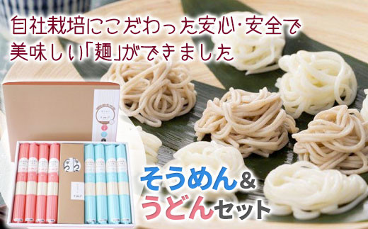 【岩手県自社農場栽培】米粉入り 味な麺セットSC(めんつゆ付き)