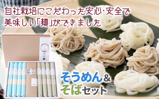 【岩手県自社農場栽培】 米粉入り 味な麺セットSA(めんつゆ付き)