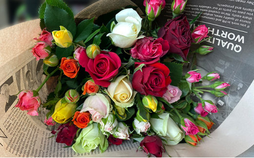 yÉlszKN̐FǂpbN@20{ [5786-3618]