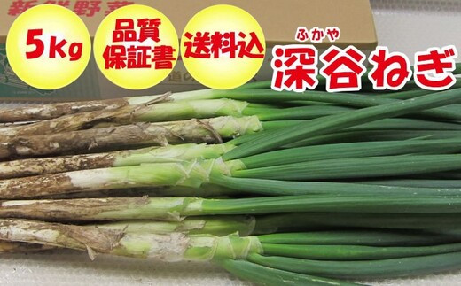 ＜先行受付＞産地直送深谷ねぎ5kg（土付き）　【11218-0242】