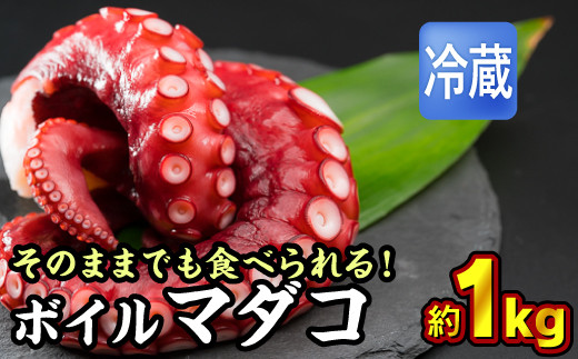 冷蔵】ボイルマダコ 約1kg（250g × 4袋）セット（到着日時指定必須