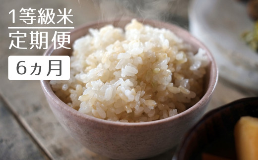 【定期便】1等級米 一粒からこだわる 真空パック 玄米 ヒノヒカリ