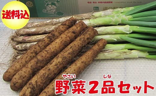 先行受付＞深谷ねぎ3kg・大和芋2kgセット（土付き） 【11218-0243