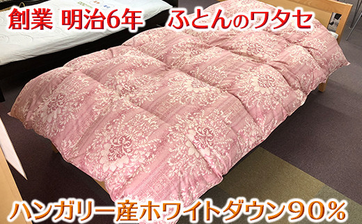 サンプル写真