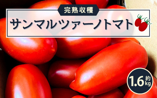 完熟収穫 サンマルツァーノトマト サンマルツァーノリゼルバ 約1 6kg 熊本県八代市 ふるさと納税 ふるさとチョイス