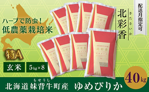 B040 令和５年産 妹背牛産新米【北彩香（ゆめぴりか）】玄米40kg〈一括〉3月発送